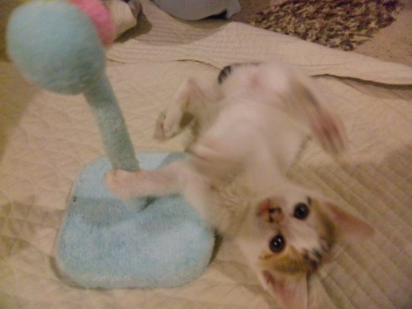 120526_002621.jpg