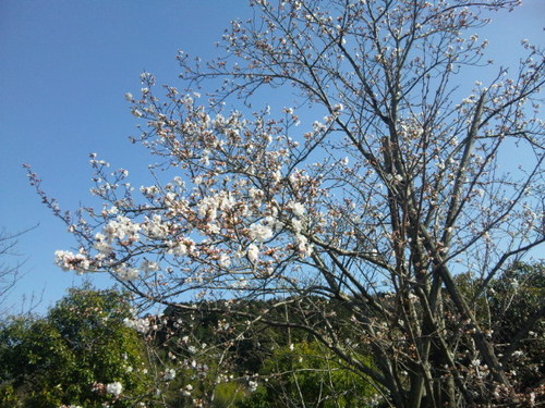 130321_150245.jpg