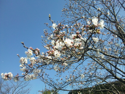 130321_150456.jpg