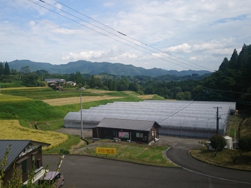 20200919114212174.jpg