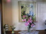 オリーブ2 009.jpg