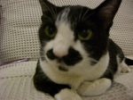 写真集@.jpg