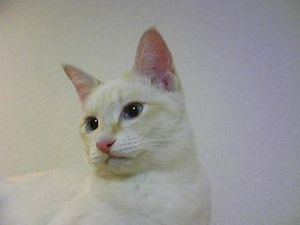 珀チャン 005.jpg