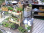 tomoeya come 003.jpg