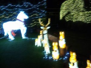 120116_201630.jpg