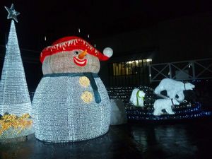 120116_202041.jpg